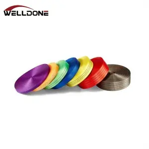 25/35/50/75/100MM Polyester Webbing Material for Ratchet Tie Down Strap
