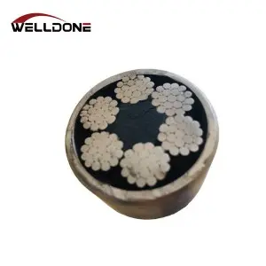 6*25Fi / 6*26WS / 6*29Fi / 6*31WS / 6*37S Steel Wire Rope