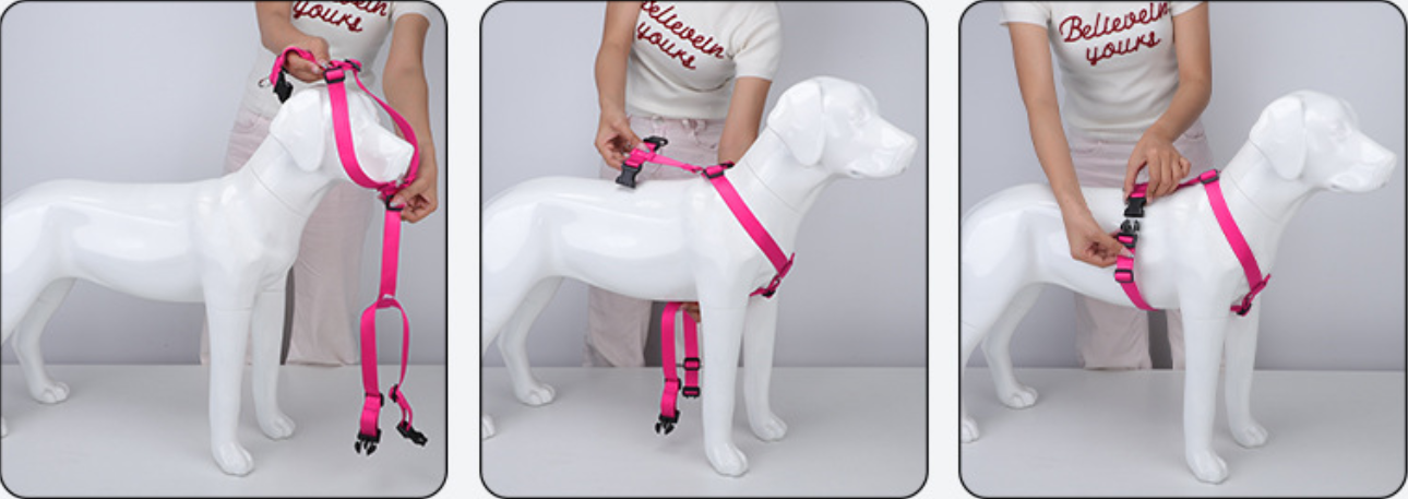 how to put H style dog harness on