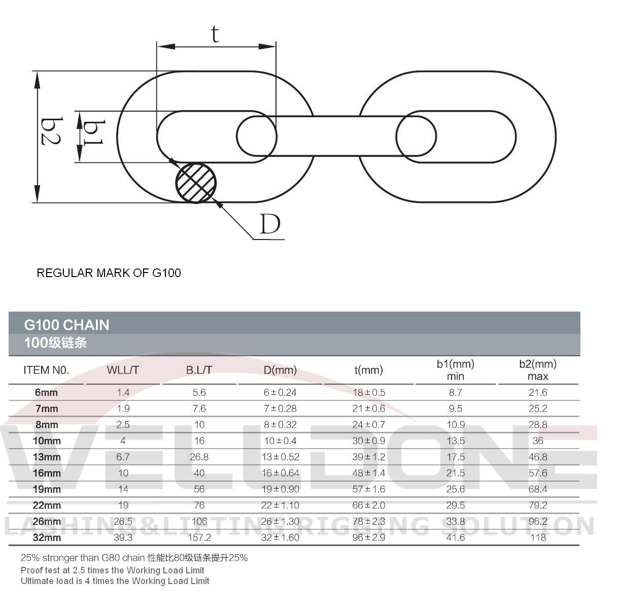 G100 chain specification