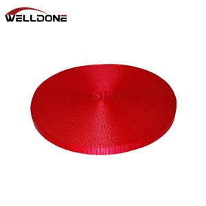 25/35/50/75/100MM Polyester Webbing Material for Ratchet Tie Down Strap