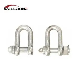 DIN82101 Type A / Type C Hot Dip Galvanized D Shackle