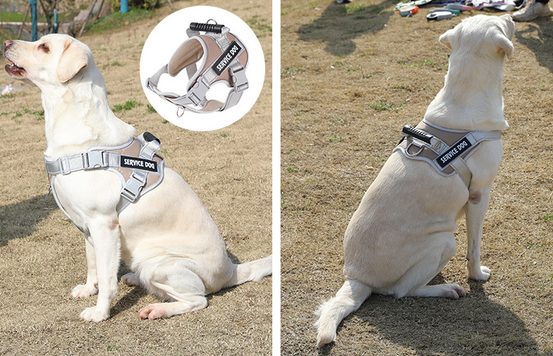 no pull dog harness application