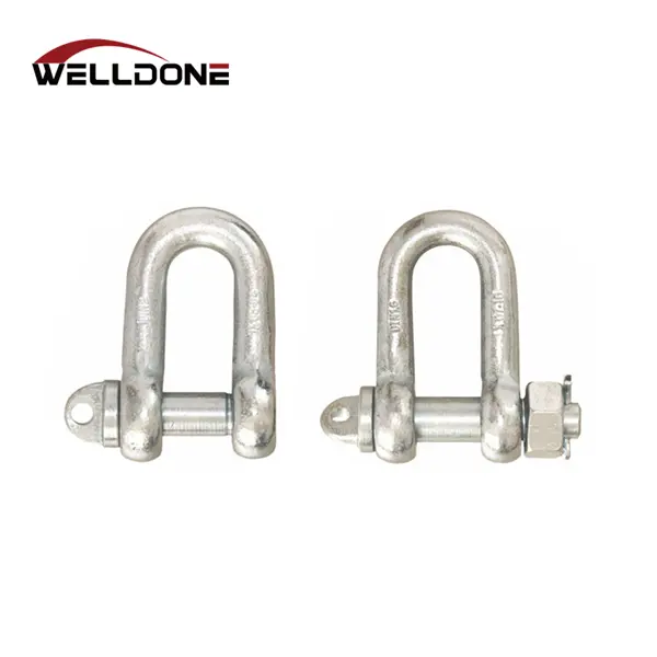 DIN82101 Type A / Type C Hot Dip Galvanized D Shackle Featured Image